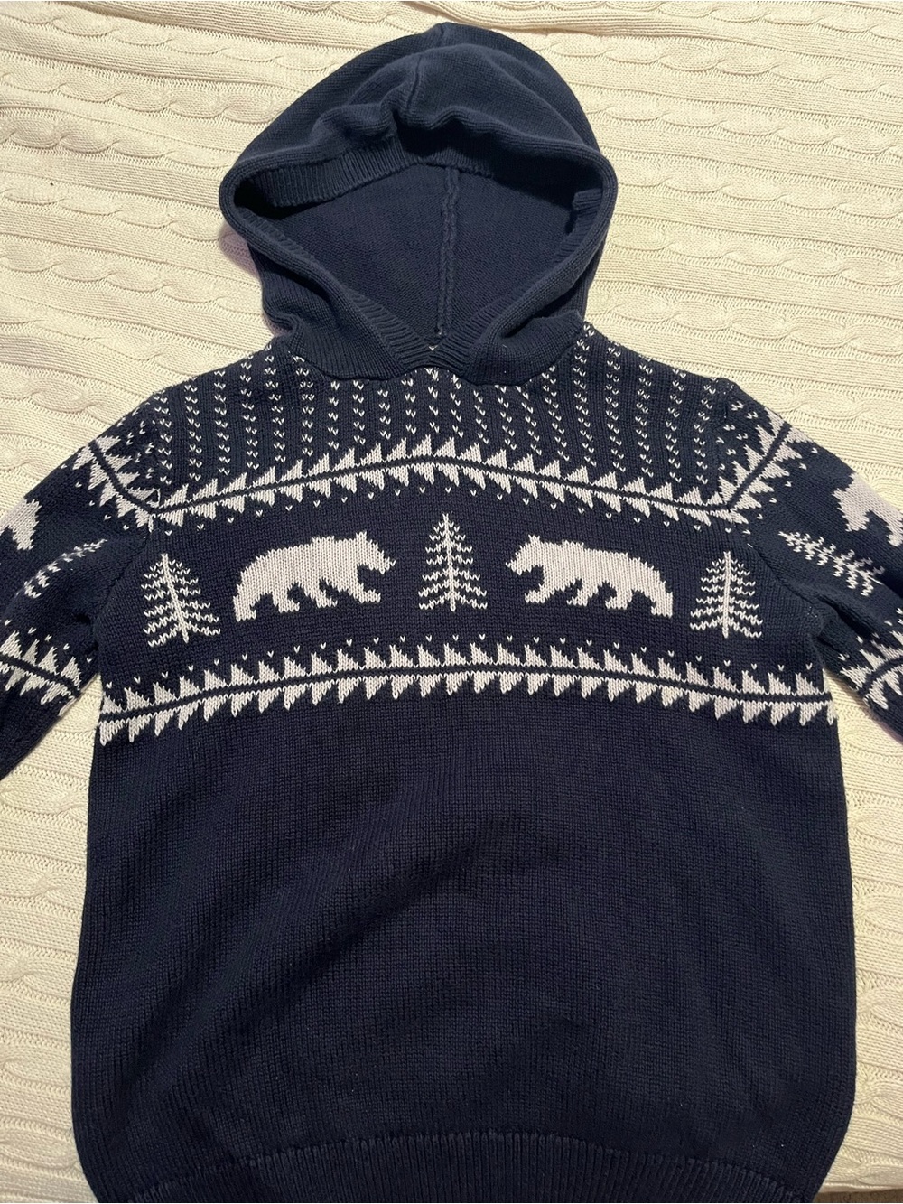Boys Size 10/12 Bear Pattern Hooded Sweater